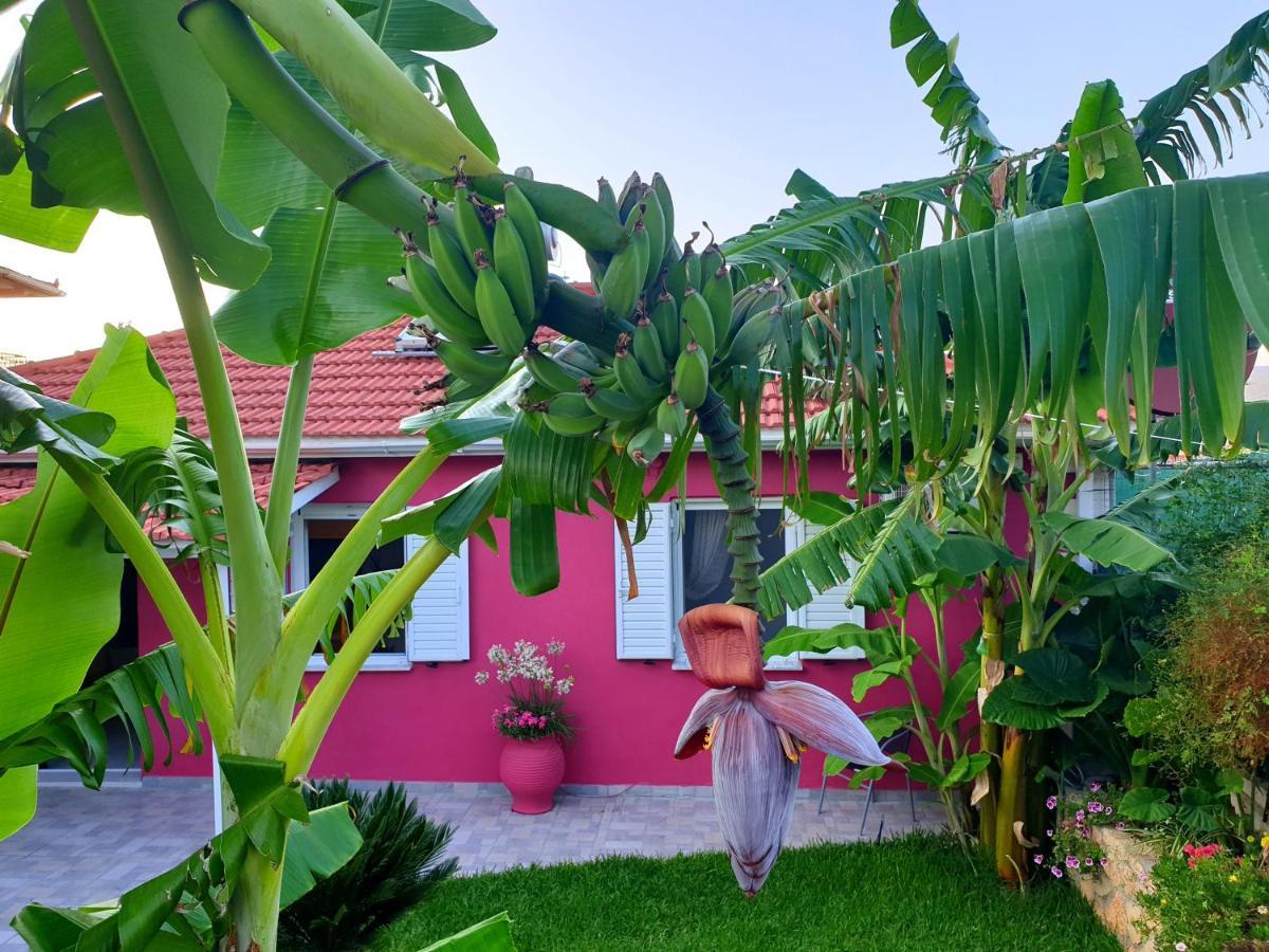 Aloe House Lakithraヴィラ エクステリア 写真